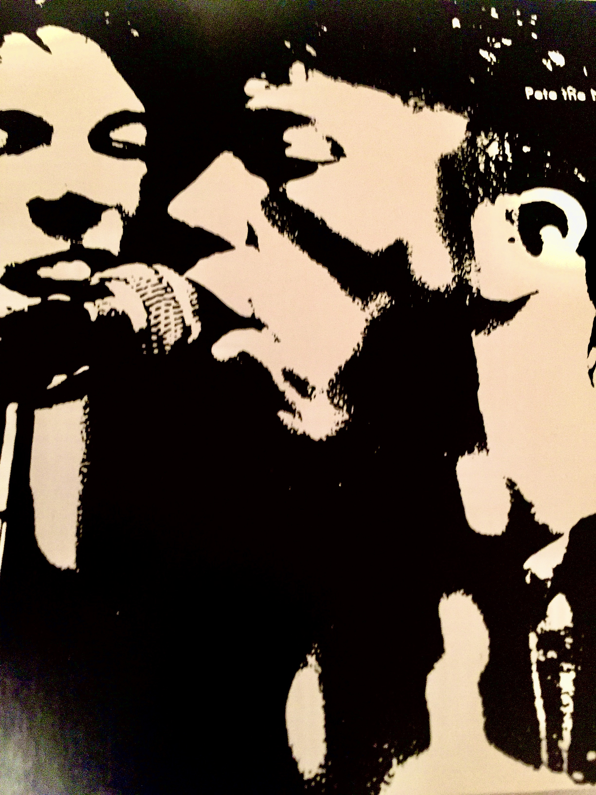 The Gadflys