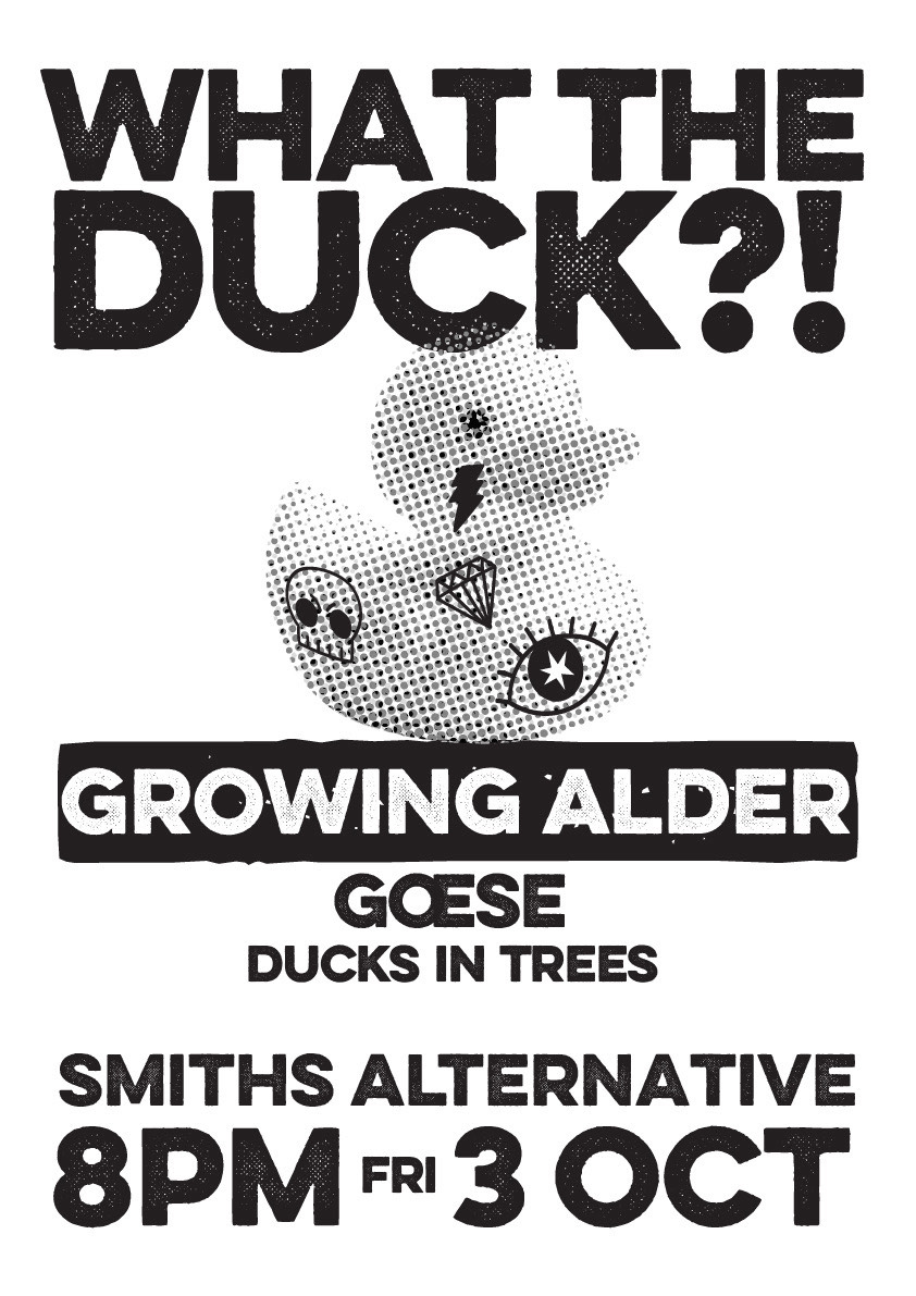WHAT THE DUCK?!