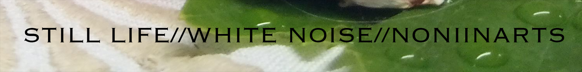 STILL LIFE WHITE NOISE NONIIN ARTS
