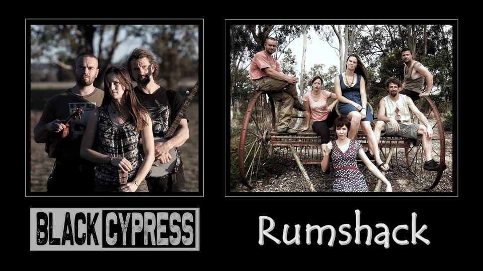 Rumshack & Black Cypress