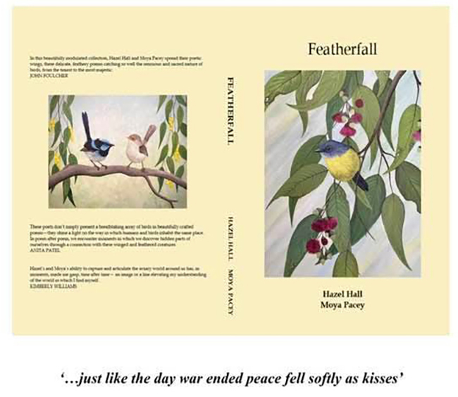 Featherfall book launch