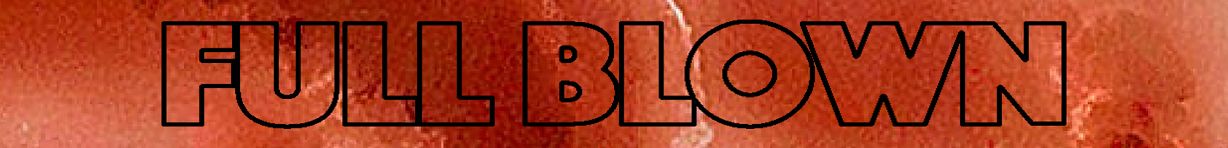 FULL BLOWN MEANING AND DEFINITION visual data 8